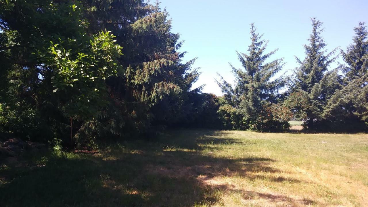 Urlaub Bei Hauenstein Appartement Born Buitenkant foto