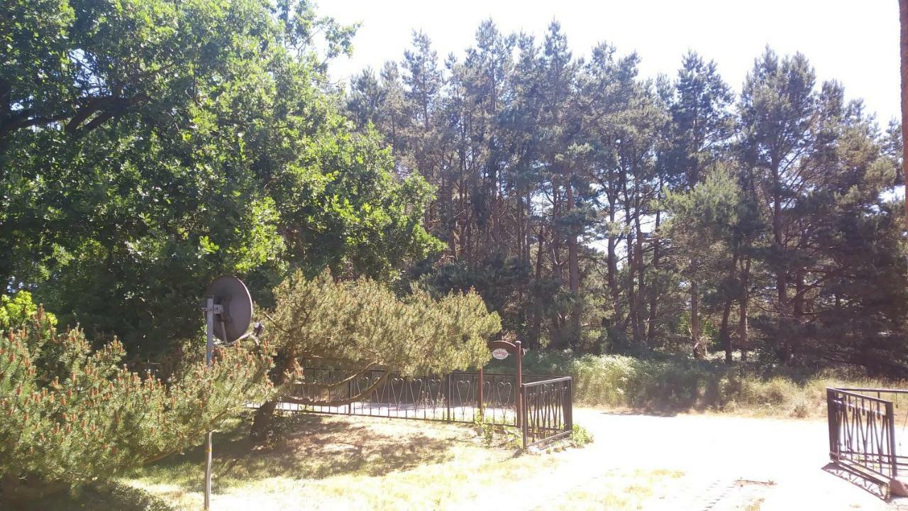 Urlaub Bei Hauenstein Appartement Born Buitenkant foto