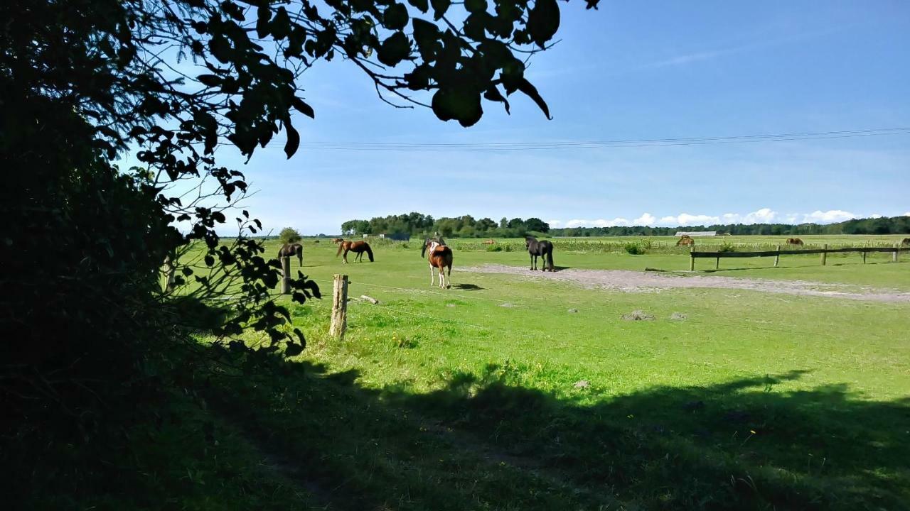 Urlaub Bei Hauenstein Appartement Born Buitenkant foto