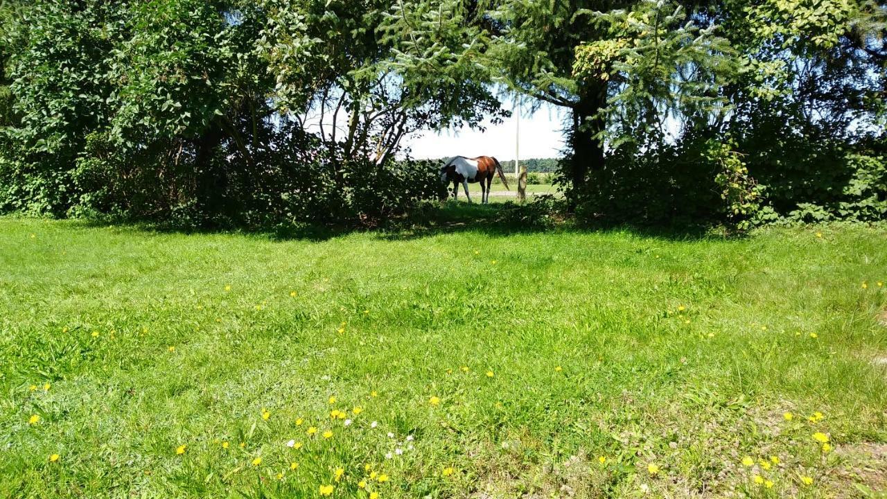 Urlaub Bei Hauenstein Appartement Born Buitenkant foto