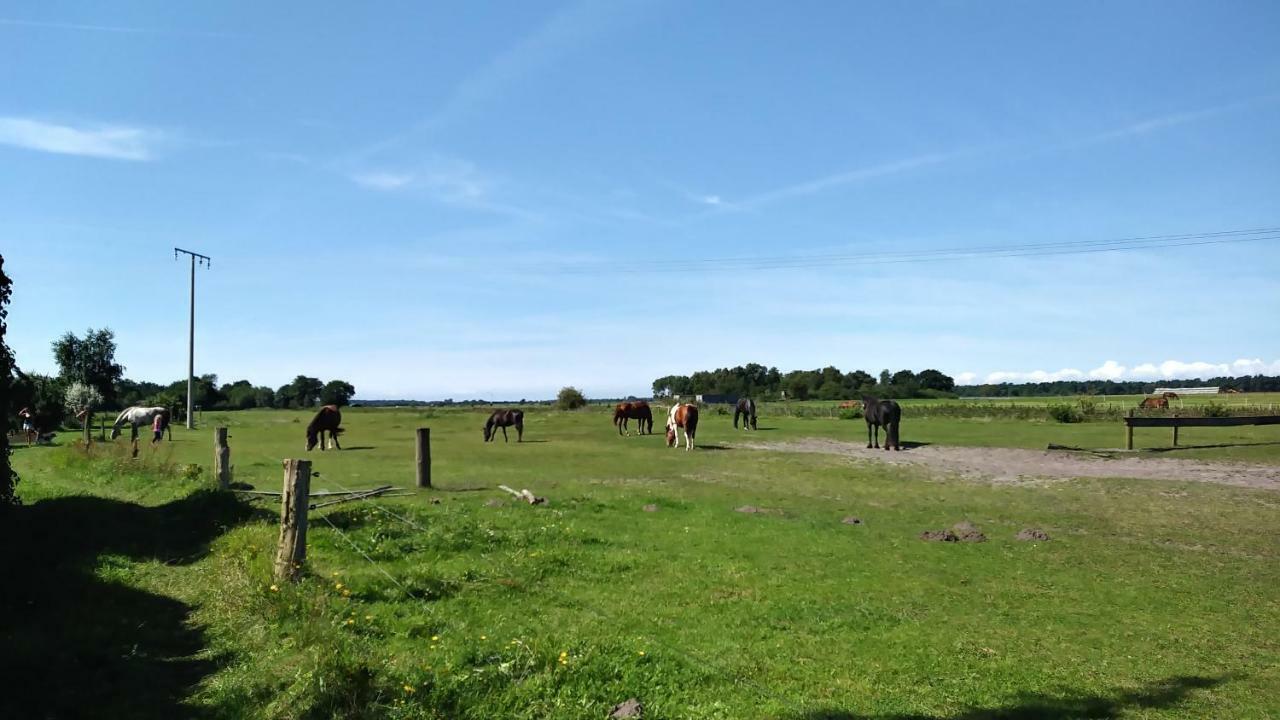 Urlaub Bei Hauenstein Appartement Born Buitenkant foto