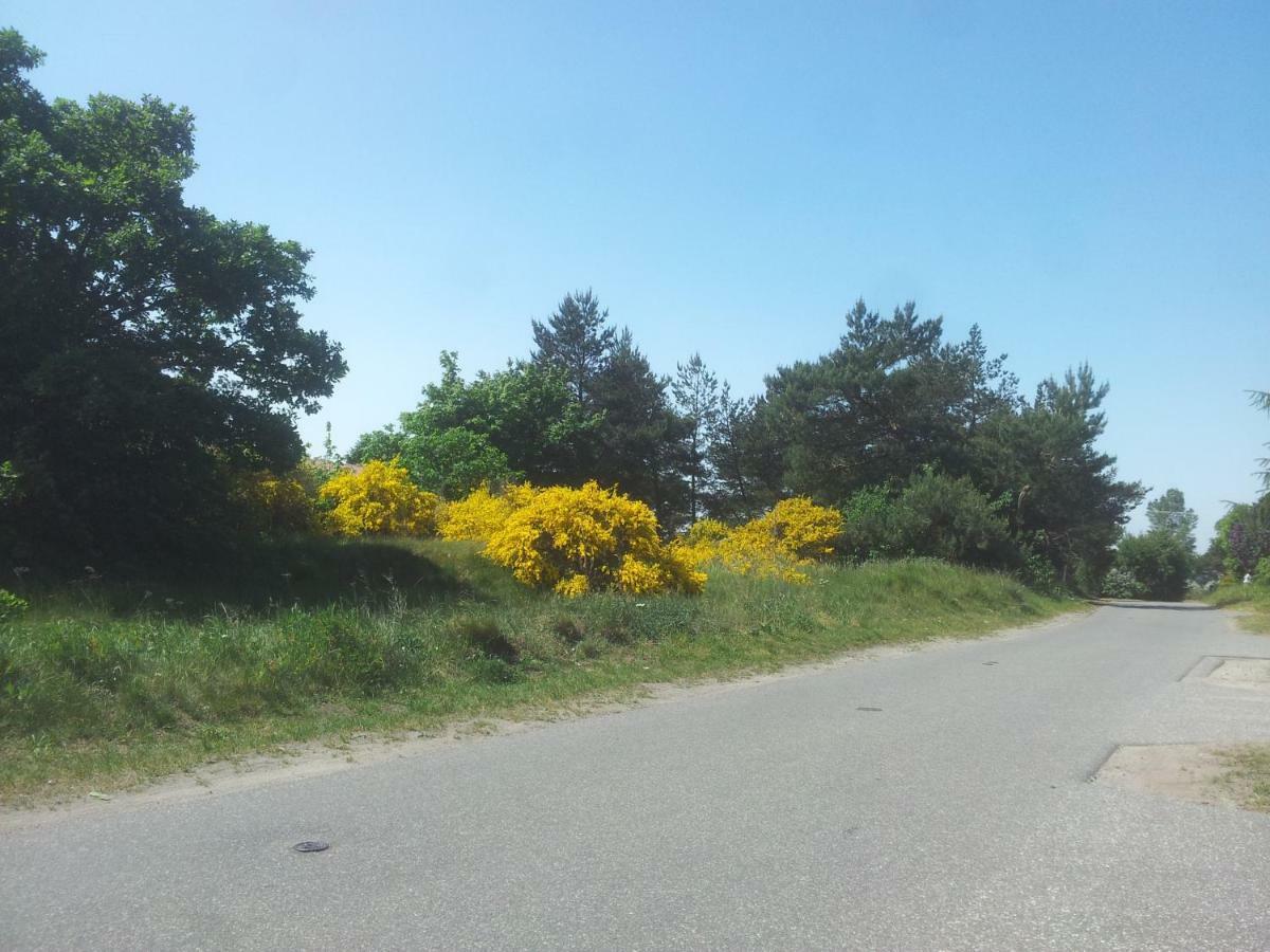 Urlaub Bei Hauenstein Appartement Born Buitenkant foto